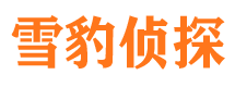 云霄市调查公司